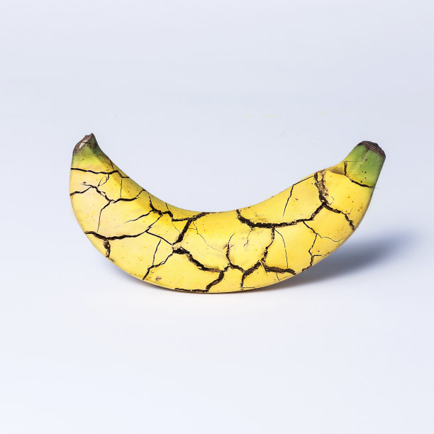 香蕉在白色背景上裂开图片下载