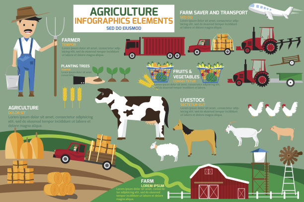 农业信息图表元素。矢量插图。图片下载