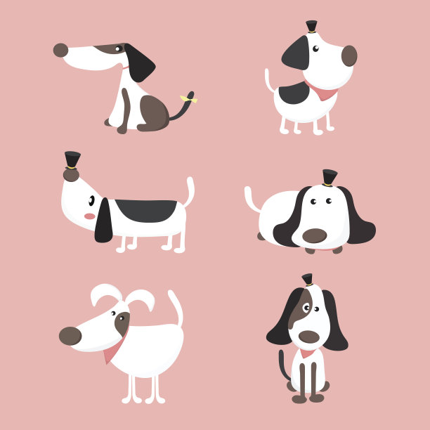 可爱的狗狗。图片下载