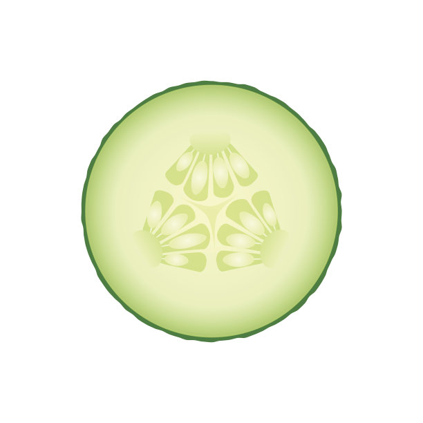 鲜绿黄瓜片孤立在白色背景上。素材图片