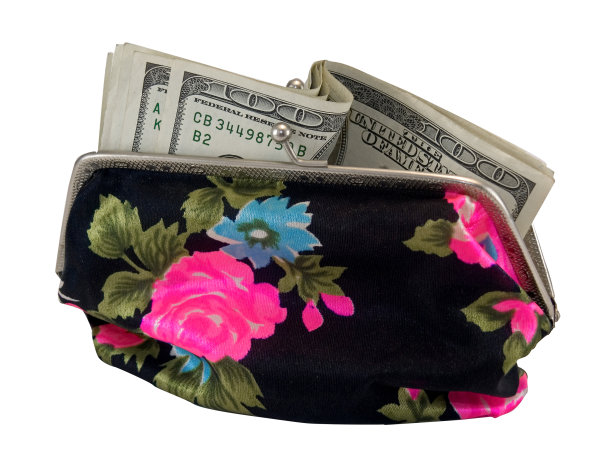 女人的钱包里有美元图片下载