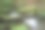 长满青苔的小溪图片下载