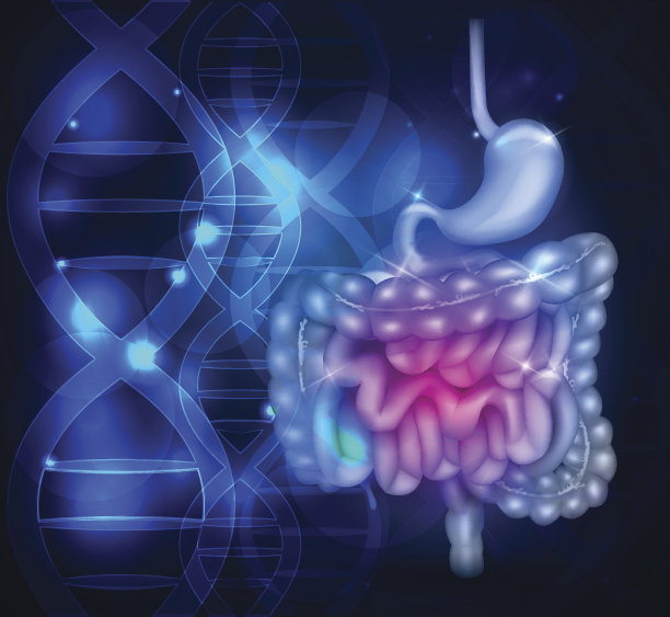 肠和胃抽象的科学背景素材图片