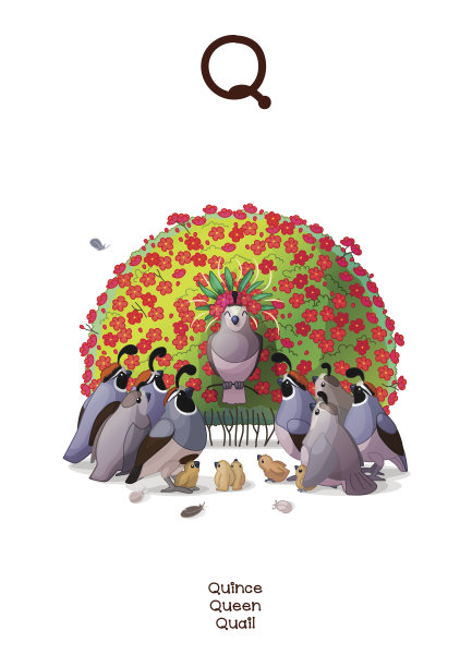 向量英语字母表系列有趣的动物。卡通插图为字母Q:鹌鹑，榅桲，王后。Abc动物海报收集。给孩子们的墙上画。婴儿的照片。手绘的生物。每股收益10图片下载