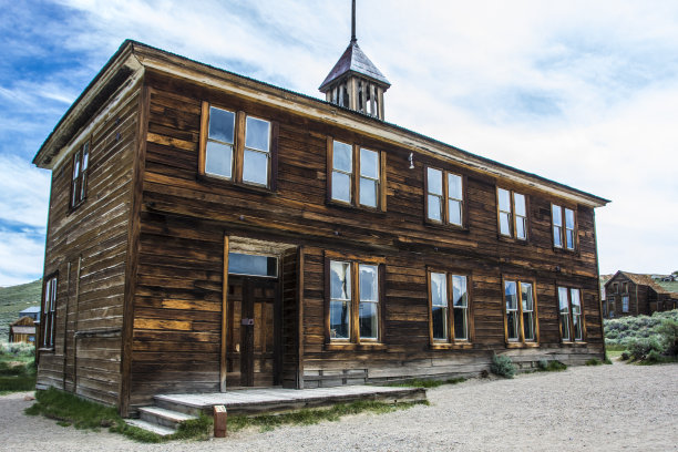 风化木图片下载