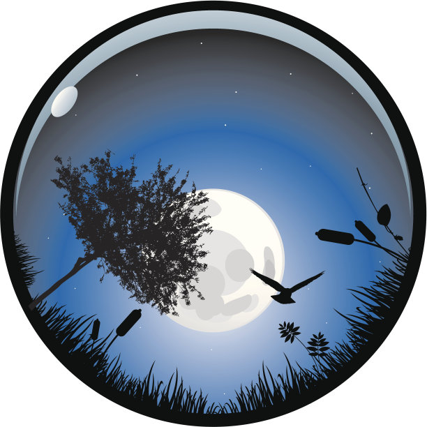 鱼眼夜景拍摄图片下载