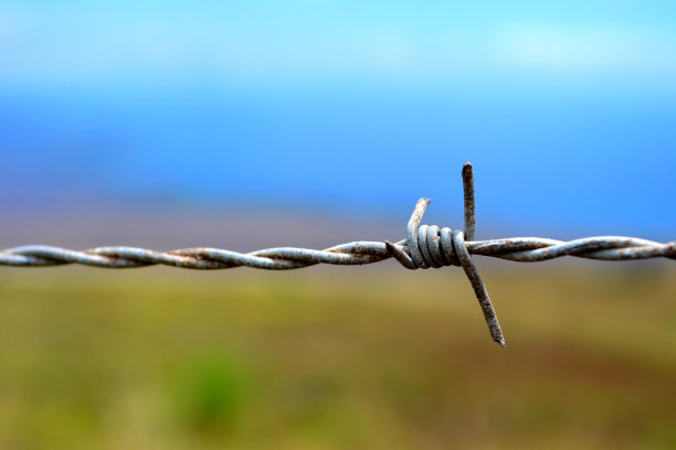 铁丝网图片下载