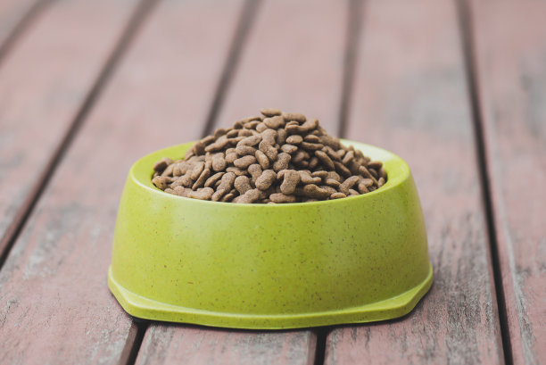 碗里有狗粮素材图片