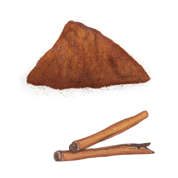 肉桂粉图片下载