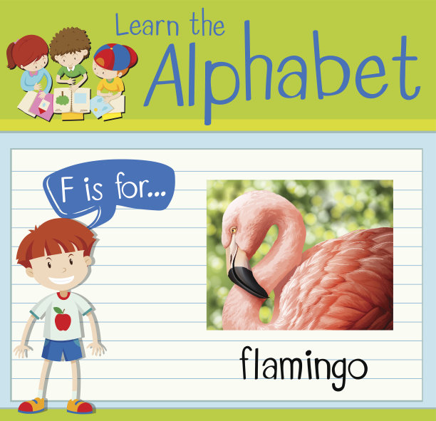 识字卡片上的字母F代表火烈鸟图片下载