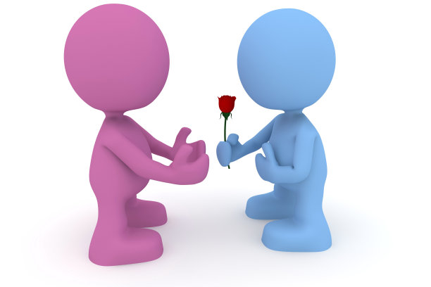 给玫瑰图片下载