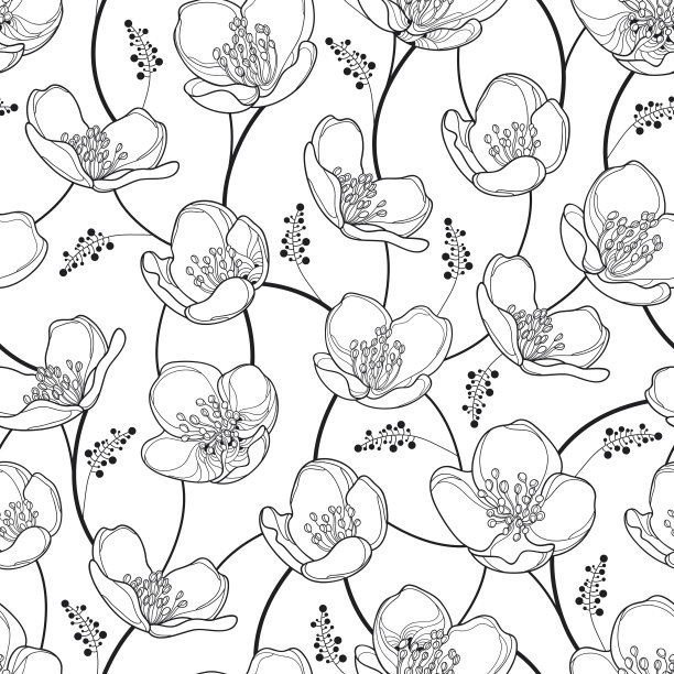 茉莉花图片素材ID：165694096