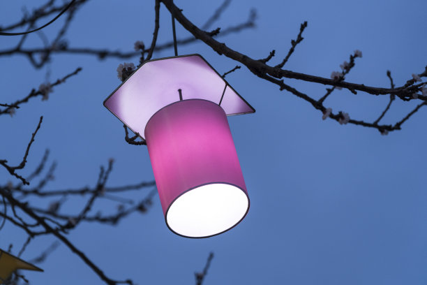 树枝上挂着一盏灯图片下载