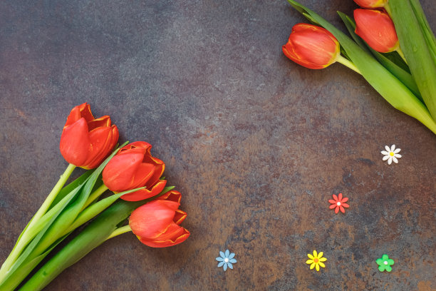 新鲜的郁金香和花洒在石头桌上图片下载