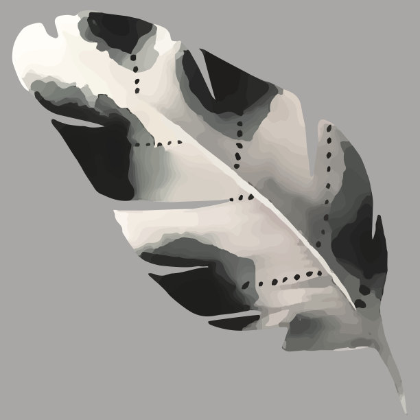 水彩羽毛图片下载