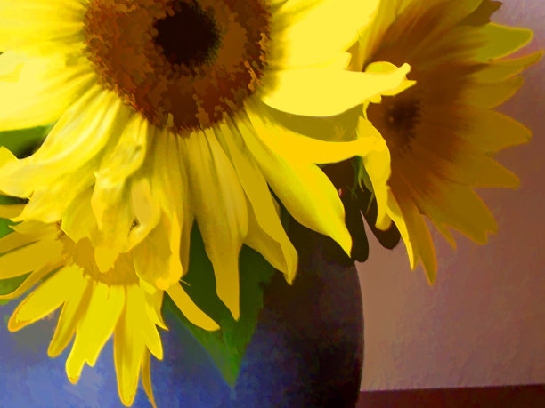 蓝色花瓶里的黄色向日葵图片下载