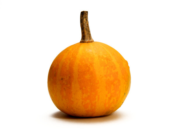 观赏南瓜图片下载