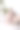 女舞者穿上芭蕾舞鞋图片下载