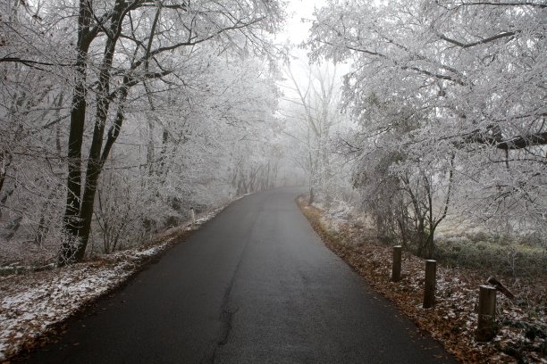 在白霜覆盖的森林里孤独的路图片下载