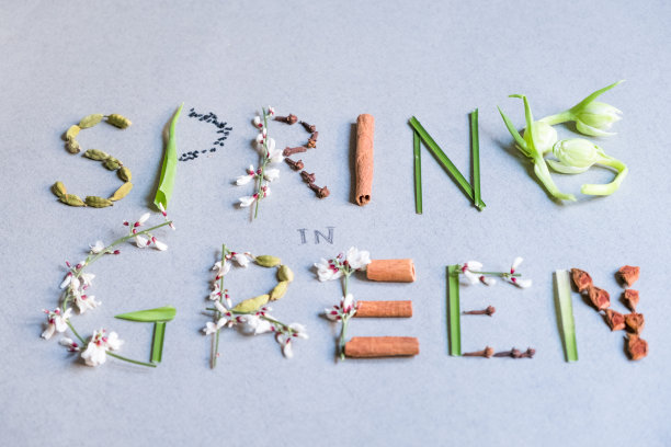 字春绿花图片下载