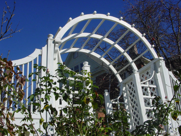 拱形阿伯图片下载