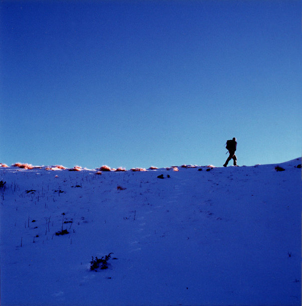 雪概要图片下载
