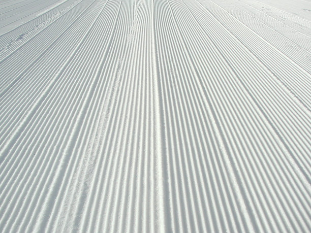 雪灯芯绒图片下载