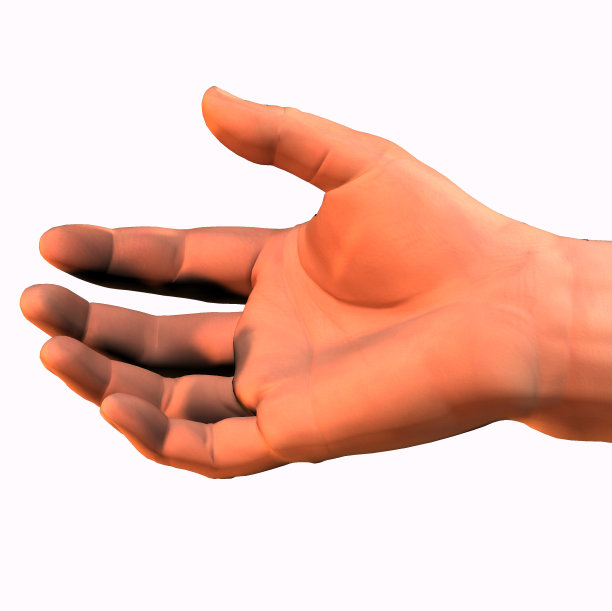 人类的手图片下载