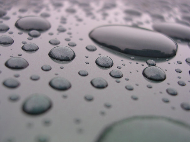 给油漆浇水图片下载