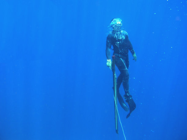 保持者图片下载