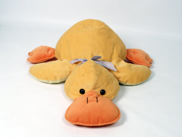 黄色的鸭子图片下载