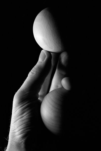 上个季度图片下载