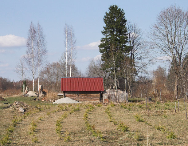爱沙尼亚的木屋图片下载