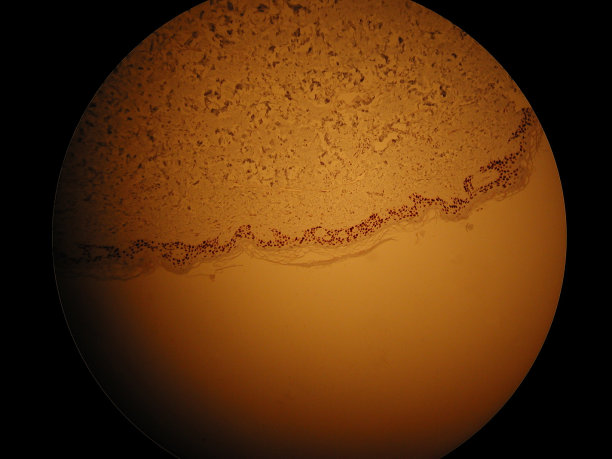 月亮幻灯片图片下载