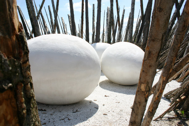 改变观点图片下载