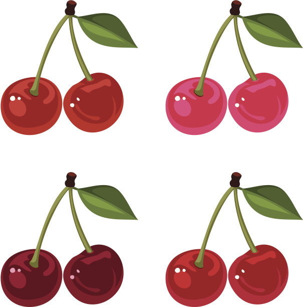 一组四个樱桃束。矢量插图。图片下载