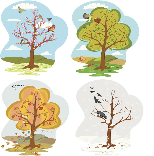 四季树图片下载