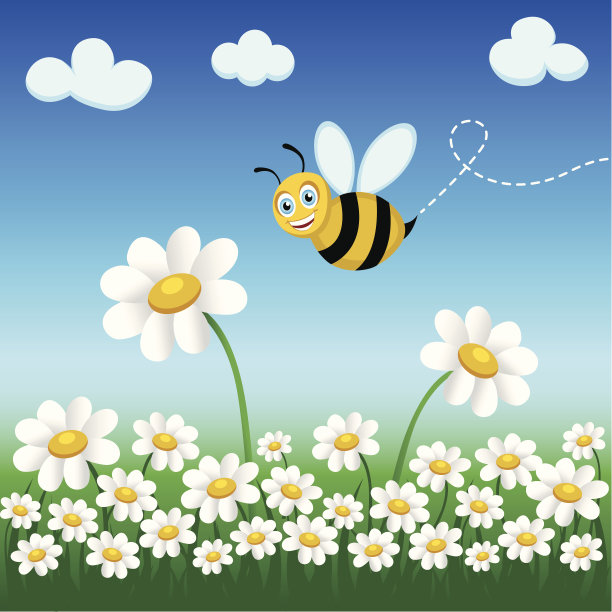 雏菊蜜蜂图片下载