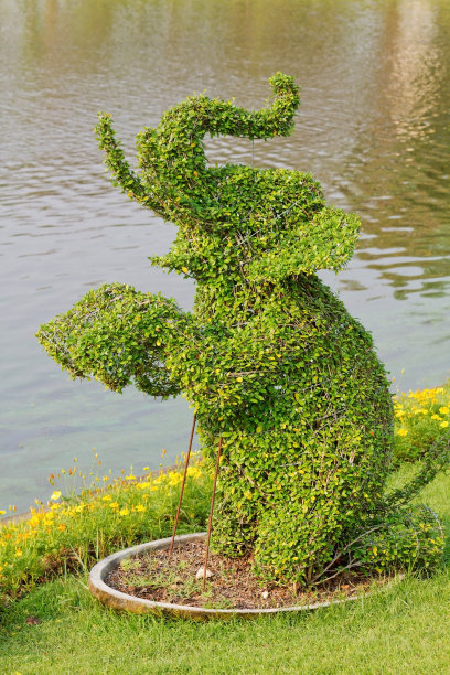 大象形状的树图片下载