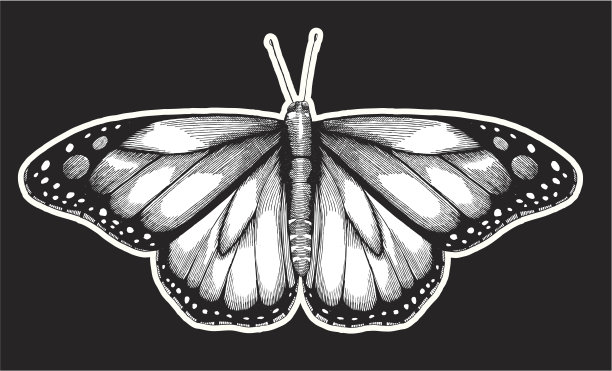 蝴蝶的墨水画图片下载