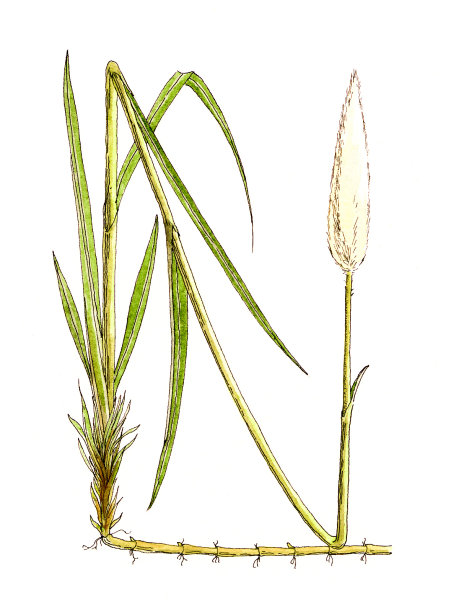 植物工厂。图片下载