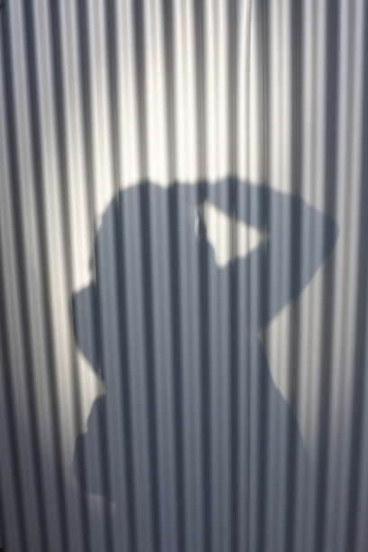 的fotographer图片下载