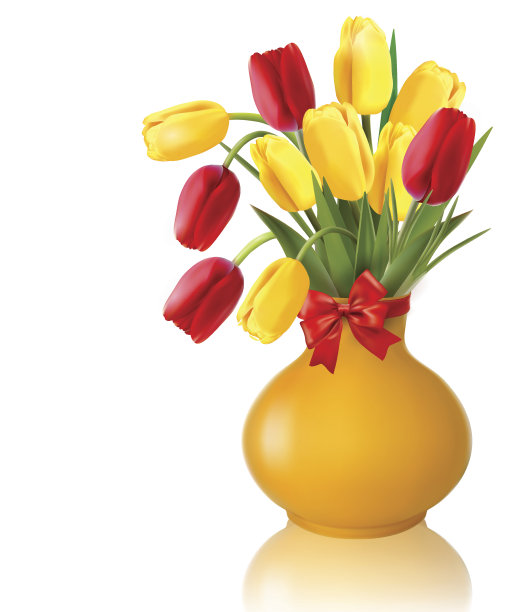 郁金香图片下载