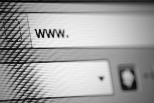 互联网搜索栏图片下载