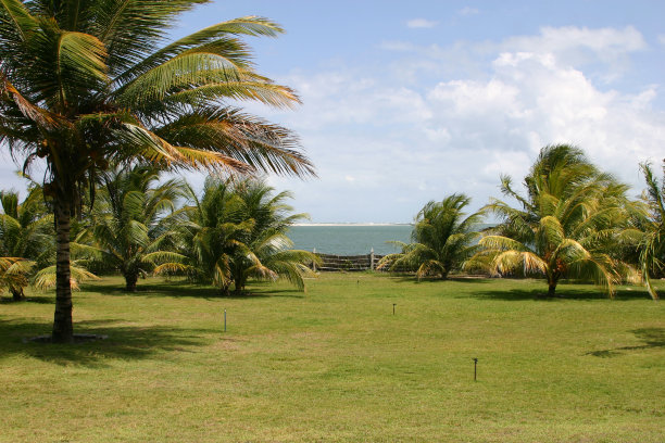 冬天在巴西图片下载