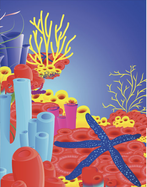 海星与珊瑚图片下载