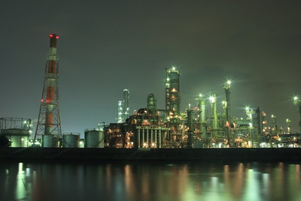 复杂的植物图片下载