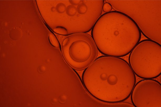 泡沫橙色图片下载