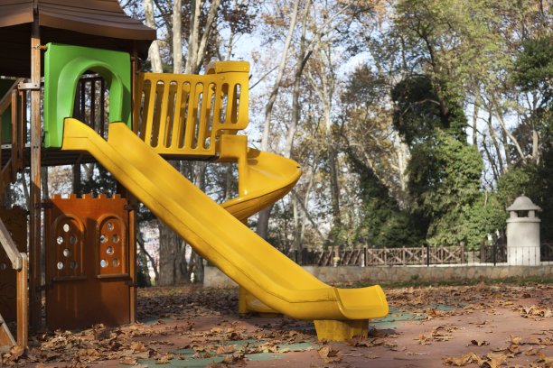 林中空地是孩子们的游乐场图片下载