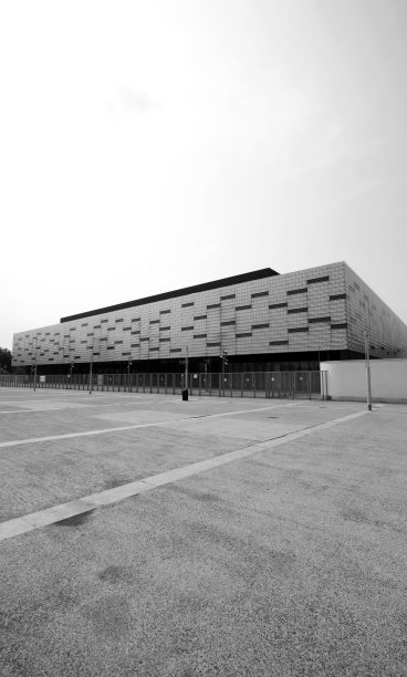 都灵帕拉斯波特奥利姆皮科图片下载